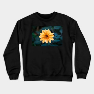 Orange Flowering Dahlia Crewneck Sweatshirt